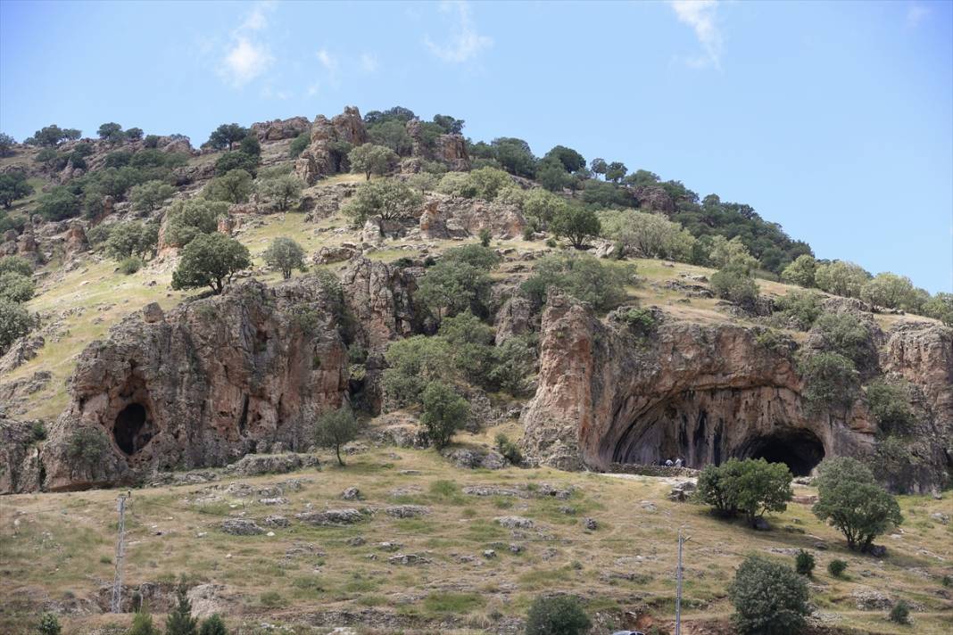 Kızıltepe'de heyecan yaratan arkeolojik kazı: 350 bin yıllık buluntu 10