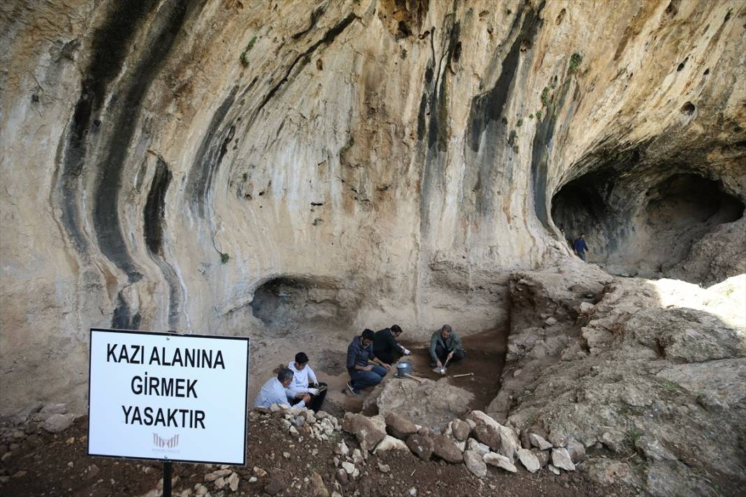 Kızıltepe'de heyecan yaratan arkeolojik kazı: 350 bin yıllık buluntu 1