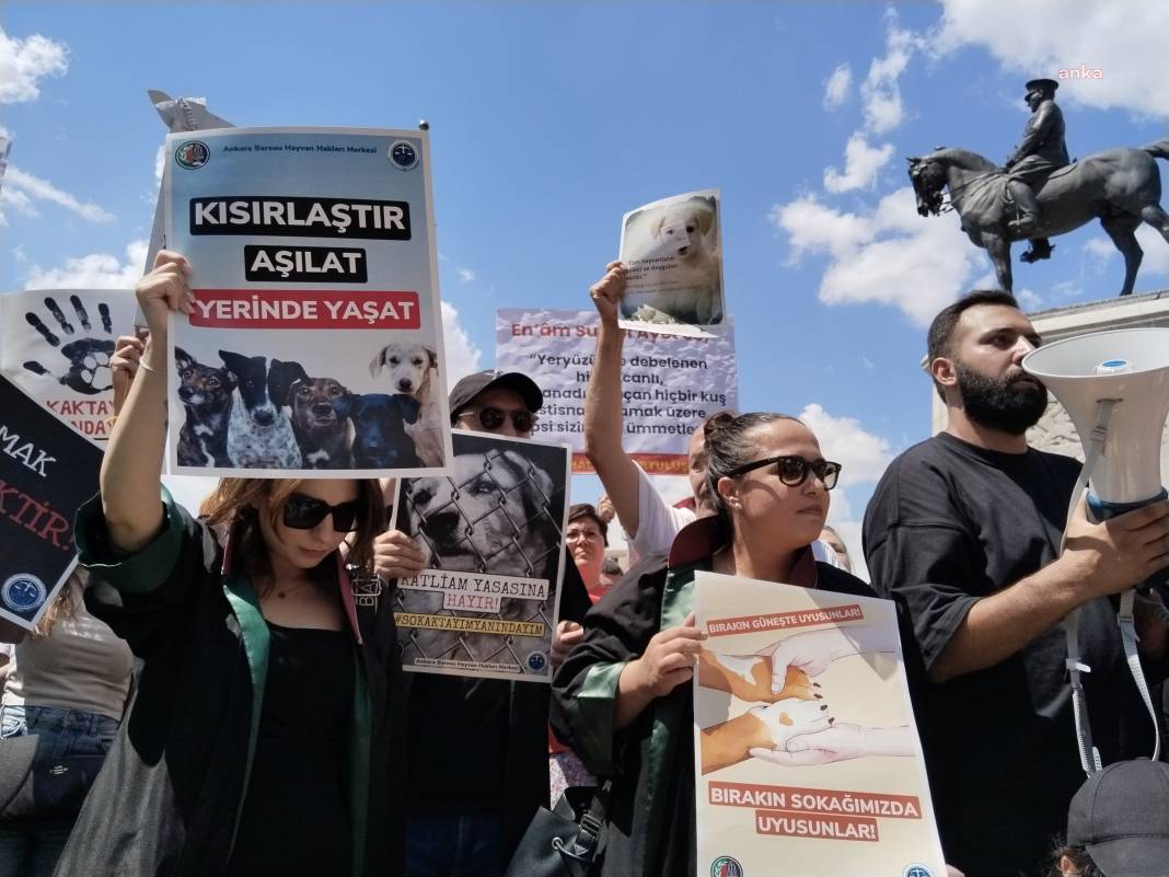 Hayvan hakları savunucuları eylemde: ‘Tarih sizi yargılayacak’ 4