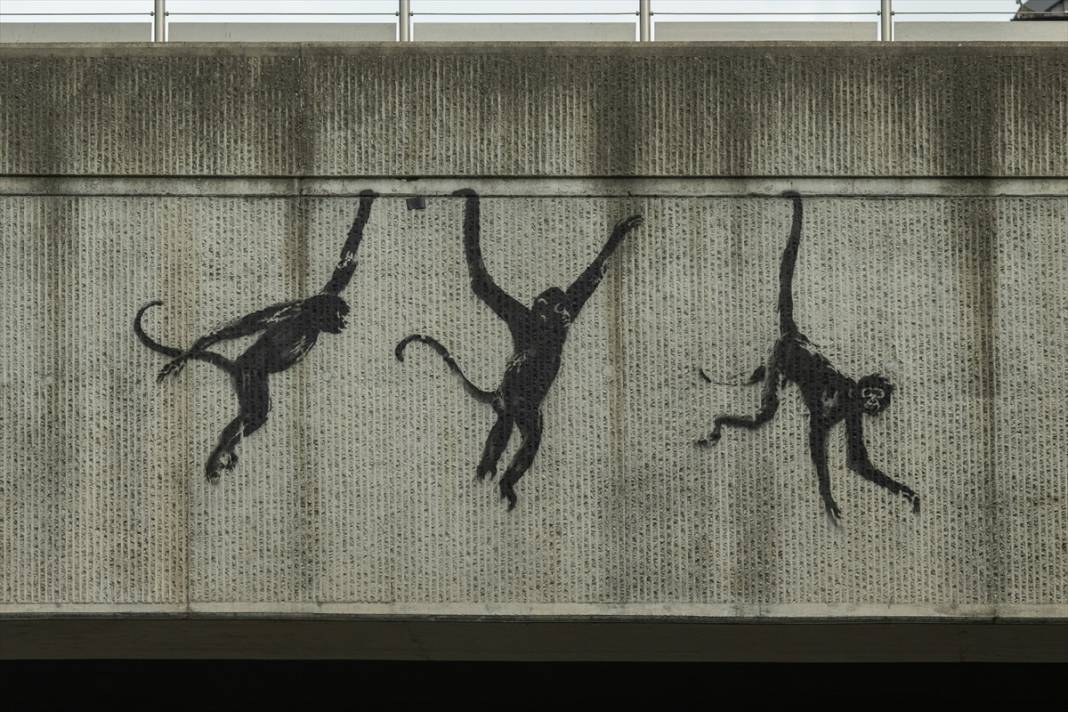 Banksy hayvan temalı serisini tamamladı: Ne anlatmak istedi? 3