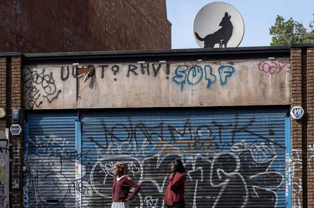 Banksy hayvan temalı serisini tamamladı: Ne anlatmak istedi? 4