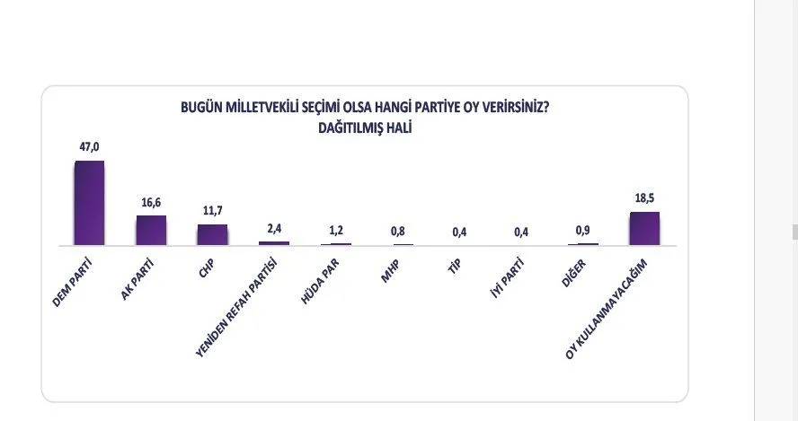 Kürt seçmen anketi: Cumhurbaşkanlığı seçimi olsa kime oy verirsiniz? 6