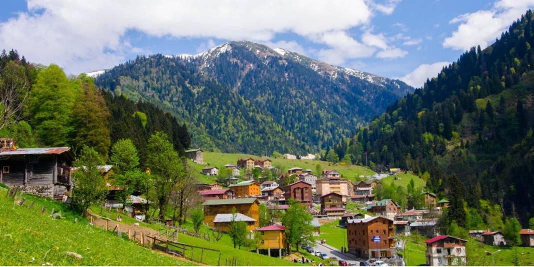 Yeni rakamlar açıklandı: İstanbul'da en çok nereli yaşıyor? 9