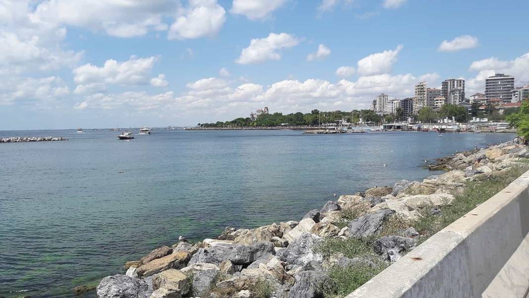 Prof. Dr. Üşümezsoy, İstanbul'un zemini en riskli bölgelerini açıkladı 3