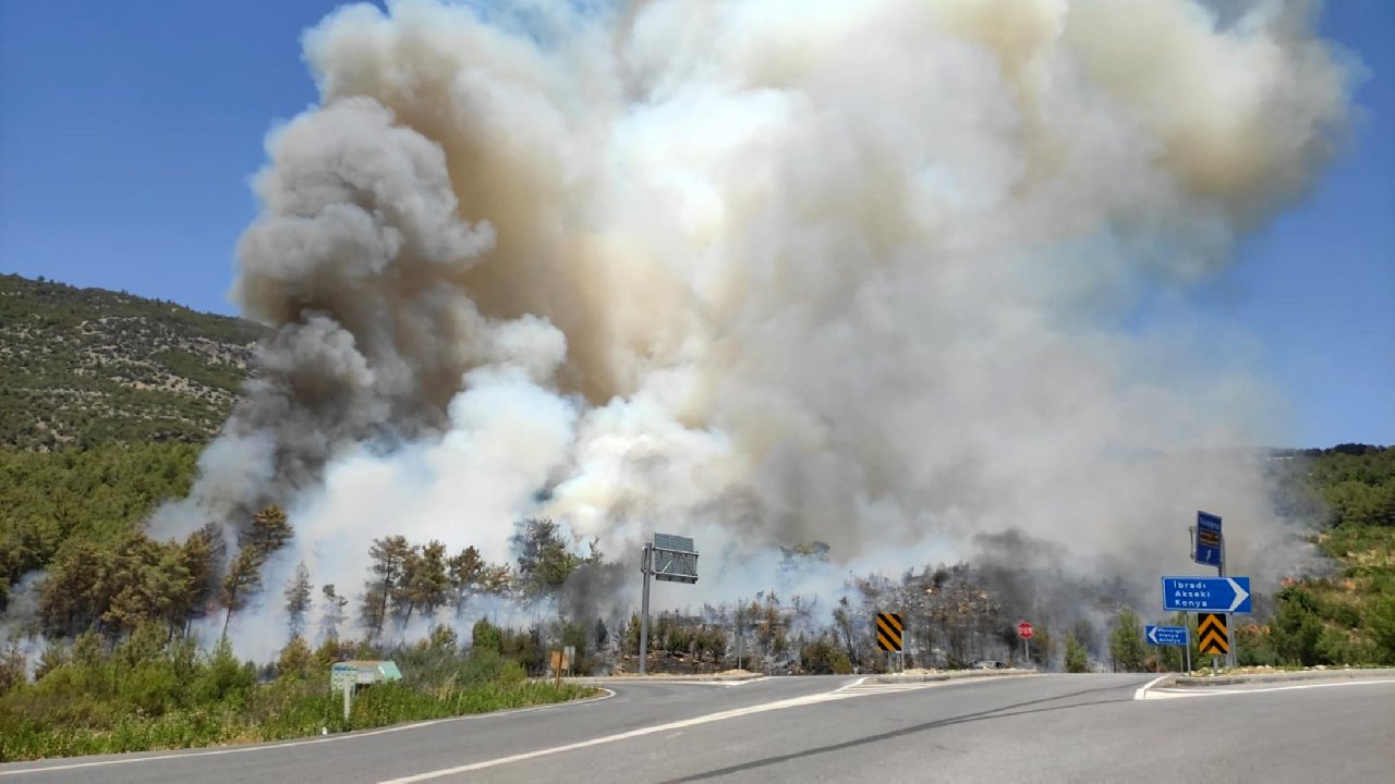 Antalya'da orman yangını çıktı, karayolu ulaşıma kapatıldı