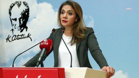 CHP'li Akkuş İlgezdi: "Kadına şiddet pandemide yüzde 28, 15 yılda 70 kat arttı"