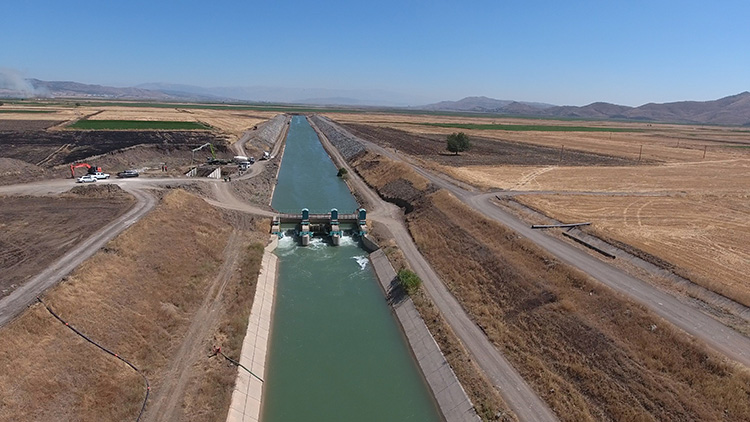 Adana'da sulama kanalında çürümüş erkek cesedi bulundu