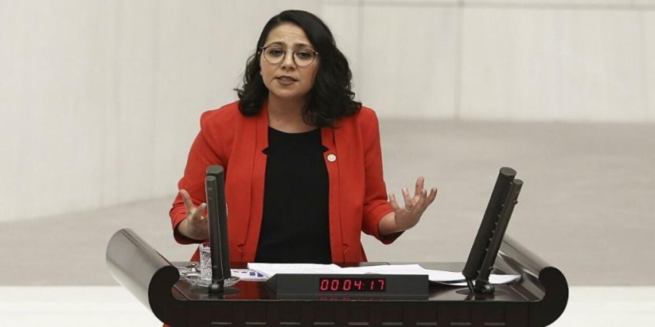 Sera Kadıgil, sokak hayvanlarının katledildiği bölgede: Görün eserinizi