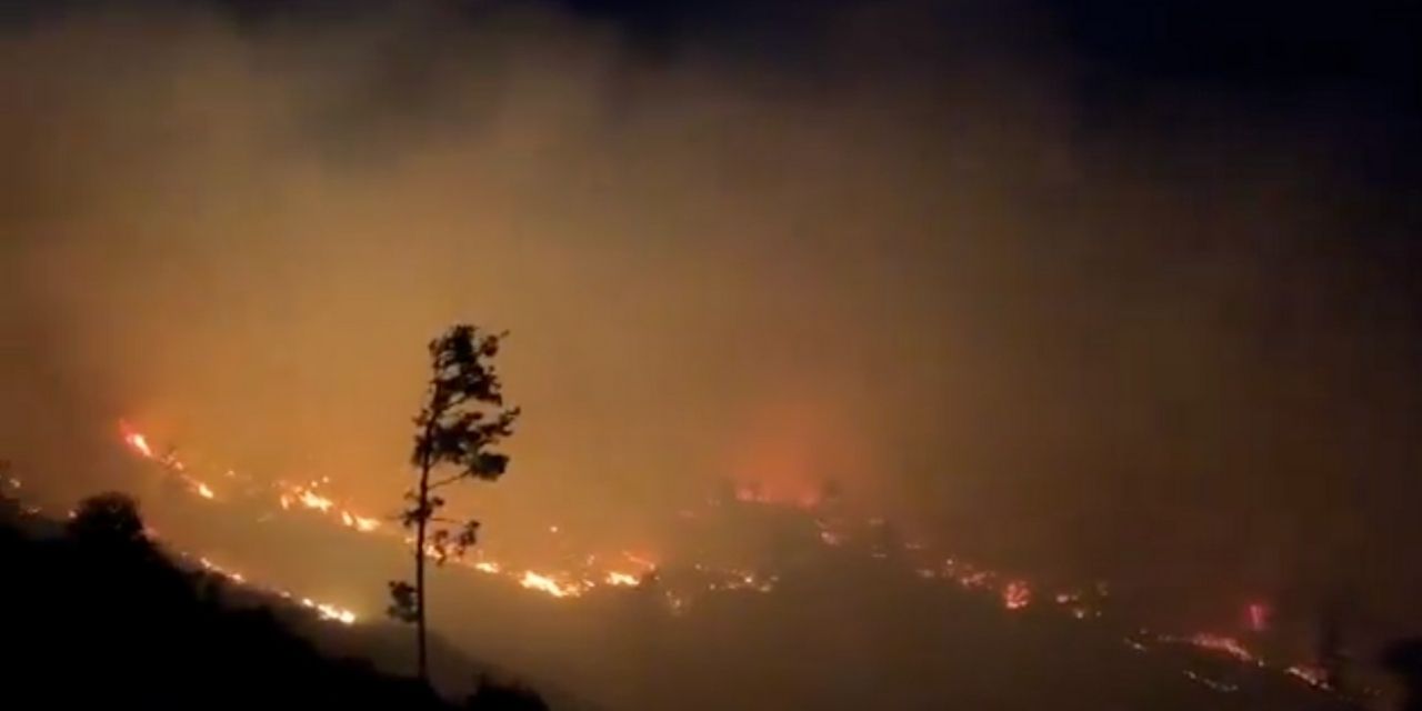 Muğla'da orman yangını devam ediyor: 11 kişi tahliye edildi