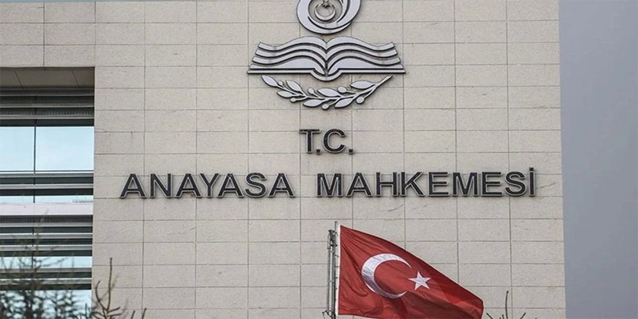 Anayasa Mahkemesi Başkanından sokak hayvanları yasası açıklaması