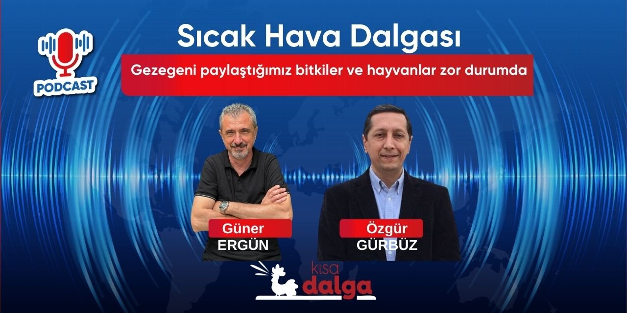 Gezegeni paylaştığımız bitkiler ve hayvanlar zor durumda