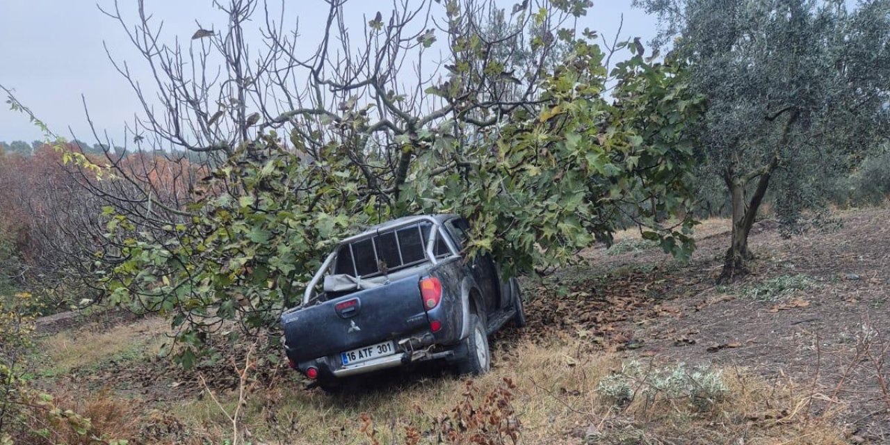 İşçileri taşıyan kamyonet ağaca çarptı: 1 kişi öldü, 7 kişi yaralandı