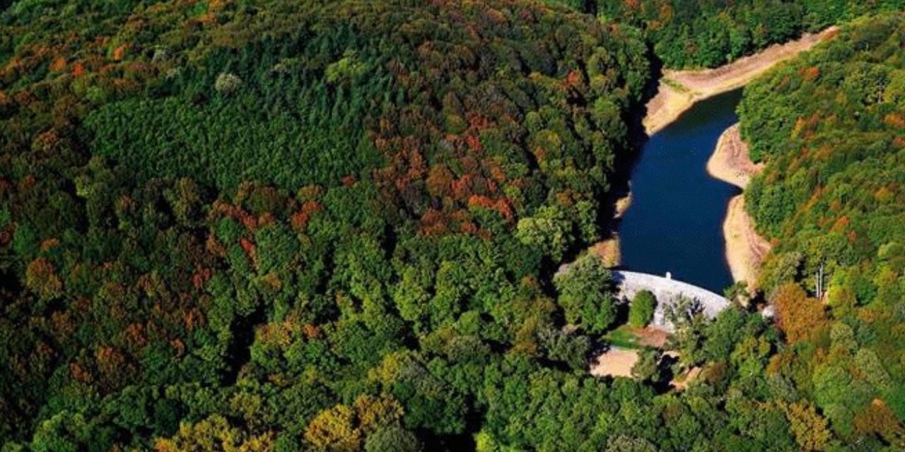 Belgrad Ormanı imara açılıyor