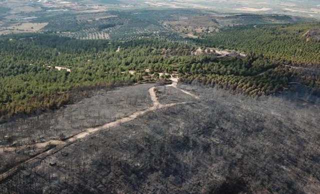 Foça’da 30 hektar orman yandı