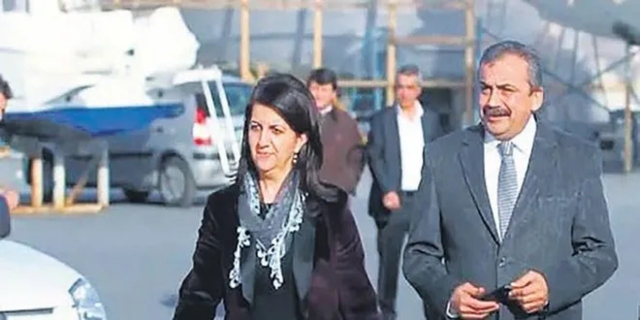 Sırrı Süreyya Önder ve Pervin Buldan, Öcalan'la görüşmeye gidecek