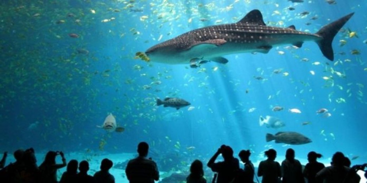 Madame Tussauds, Sea Life Akvaryum ve Legoland 1 Ocak'ta kapanıyor