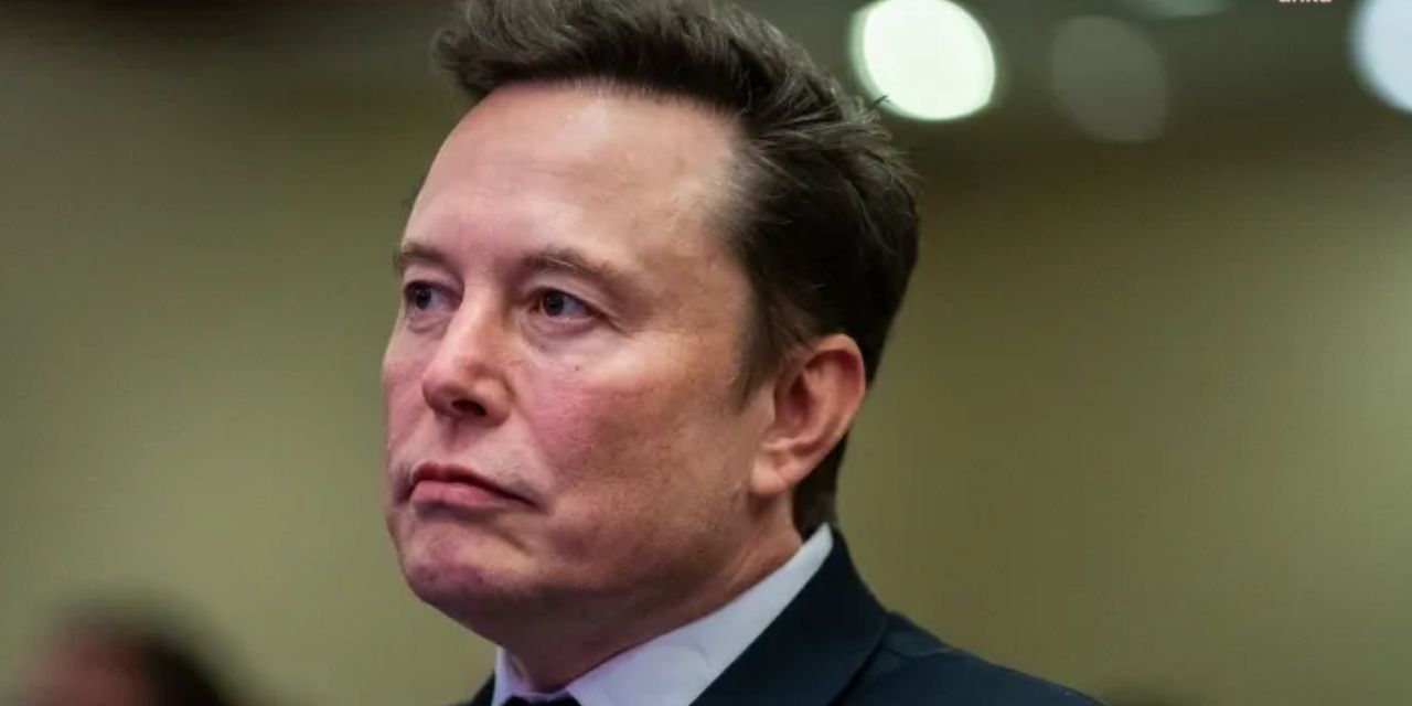 Elon Musk’tan Almanya'da aşırı sağcı AfD'yte destek