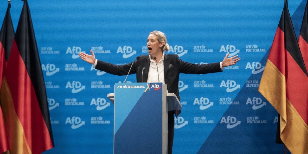 Almanya'da göçmenlerin posta kutularına 'bilet' bırakıldı: Polisten AfD'ye soruşturma