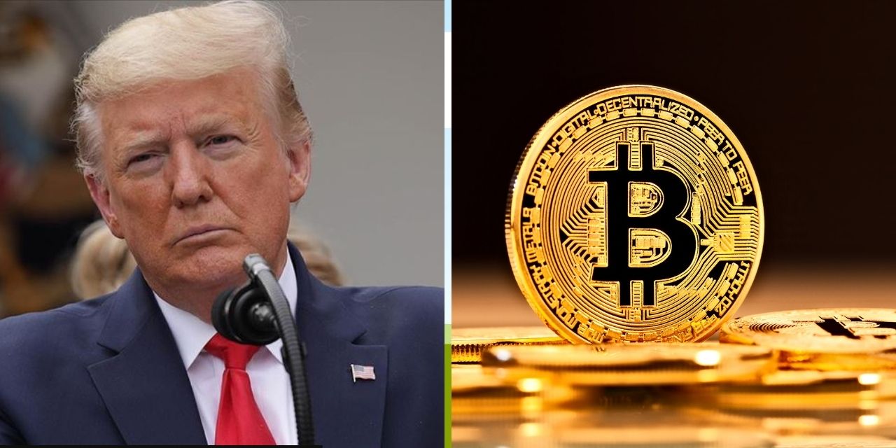 Trump Coin: Bir gecede milyoner yaptı yarım saatte sert çakıldı