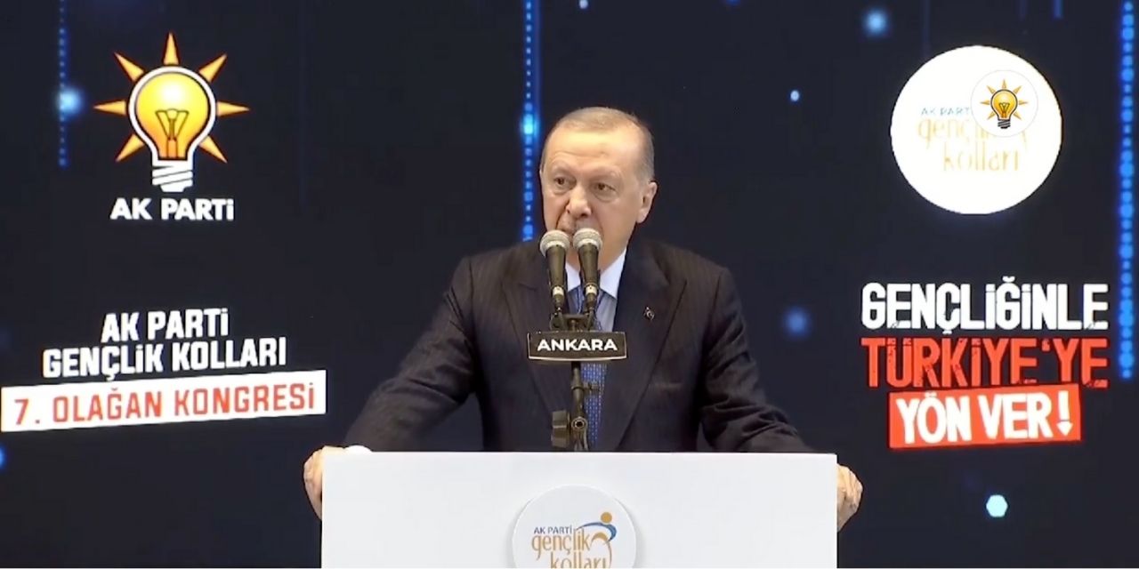 Erdoğan: 3-5 ağacın yeri değiştirildi diye sokakları yakıp yıkan vandal gençlik