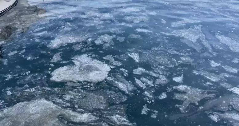 Marmara'da müsilaj yüzünden balıkçılar ağ atamamaya başladı