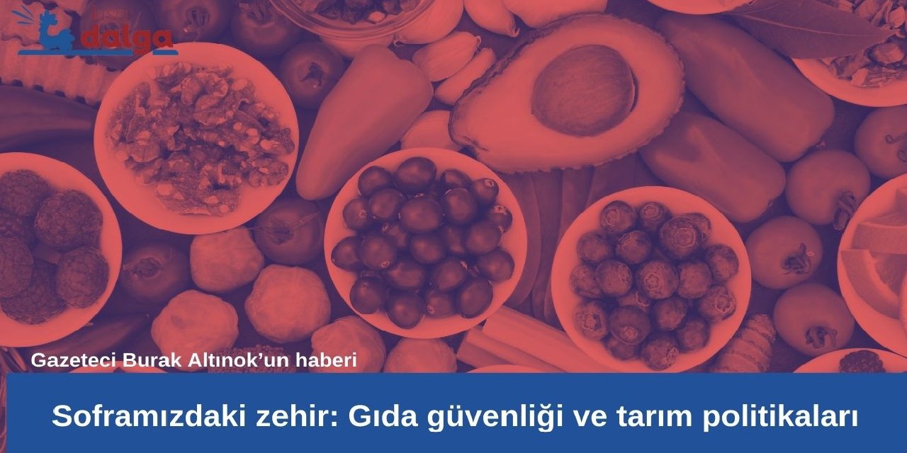 Araştırma dosyası | Gizlenen cezaevi gerçekleri: Neler oluyor?