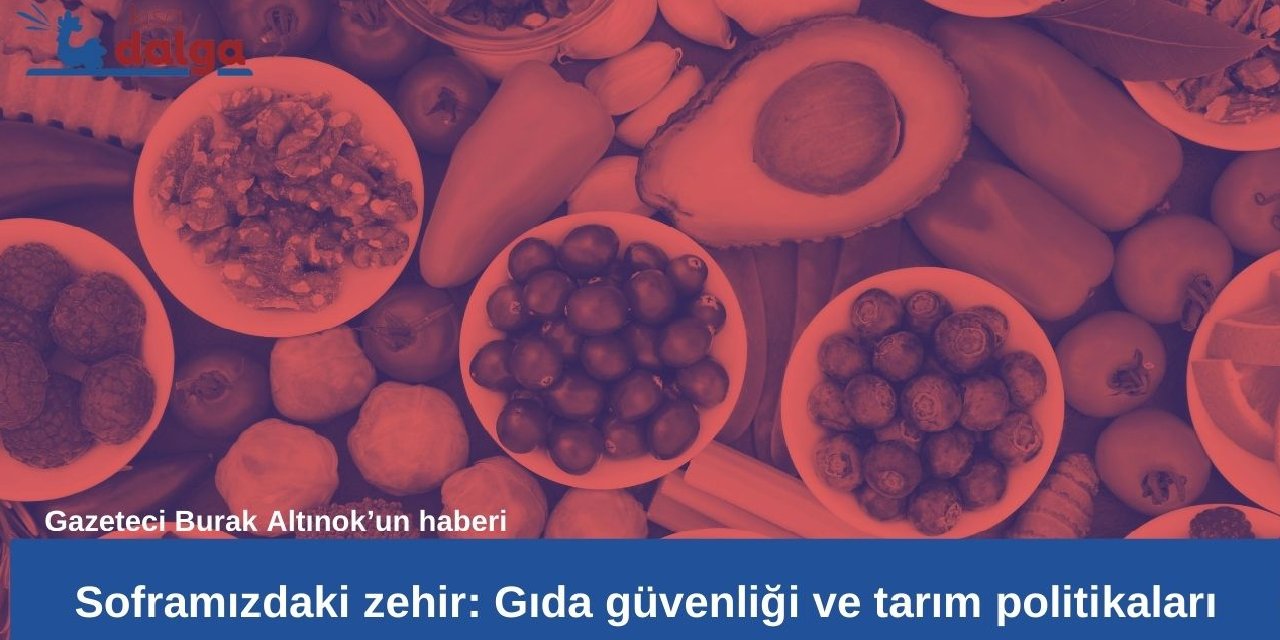 Araştırma dosyası | Soframızdaki zehir: Gıda güvenliği ve tarım politikaları