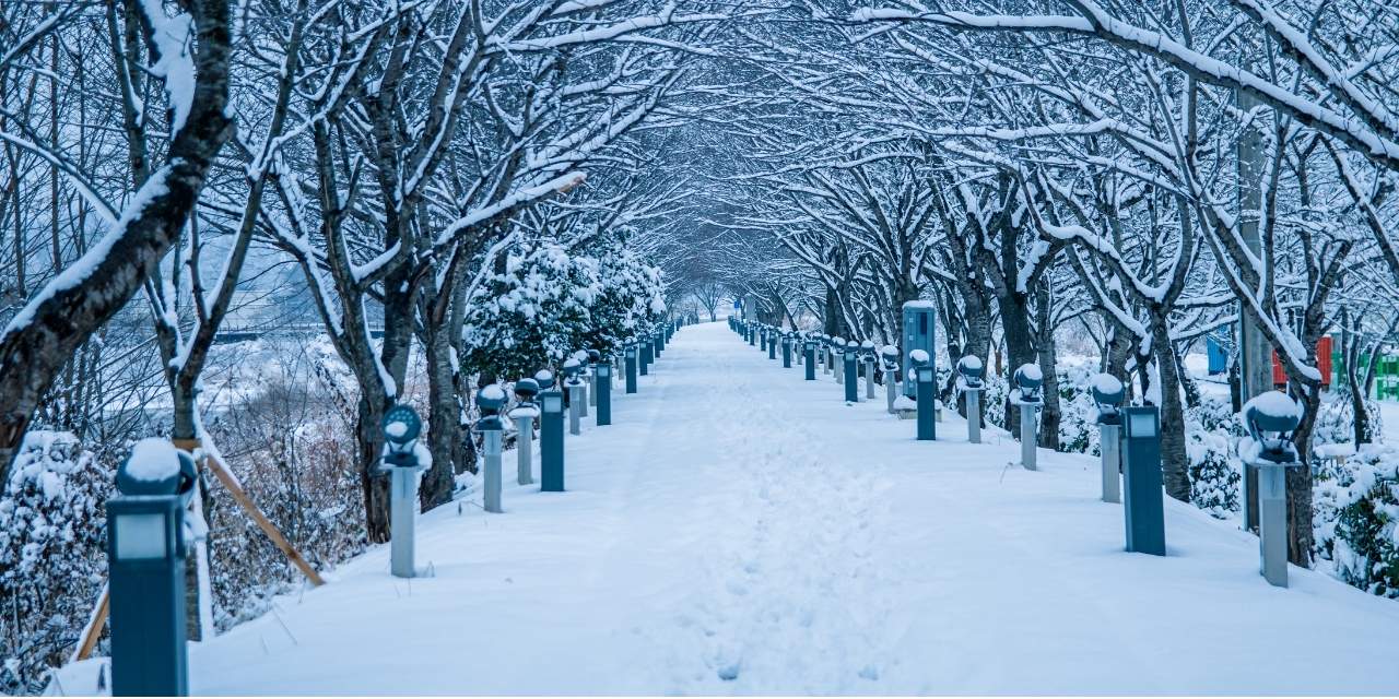 16 il için uyarı var: Kar yağışı bekleniyor