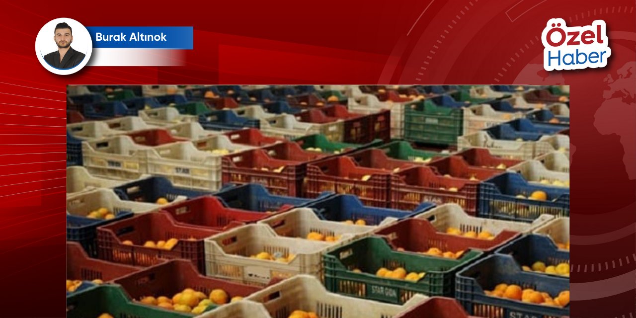 Araştırma dosyası | Sofradaki zehir: Gıda güvenliği ve tarım politikaları