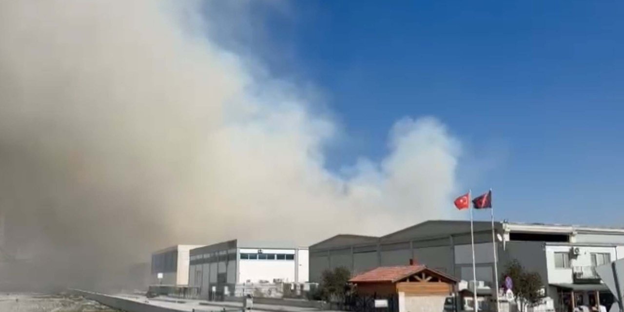Aydın’da bir kağıt fabrikasında korkutan yangın
