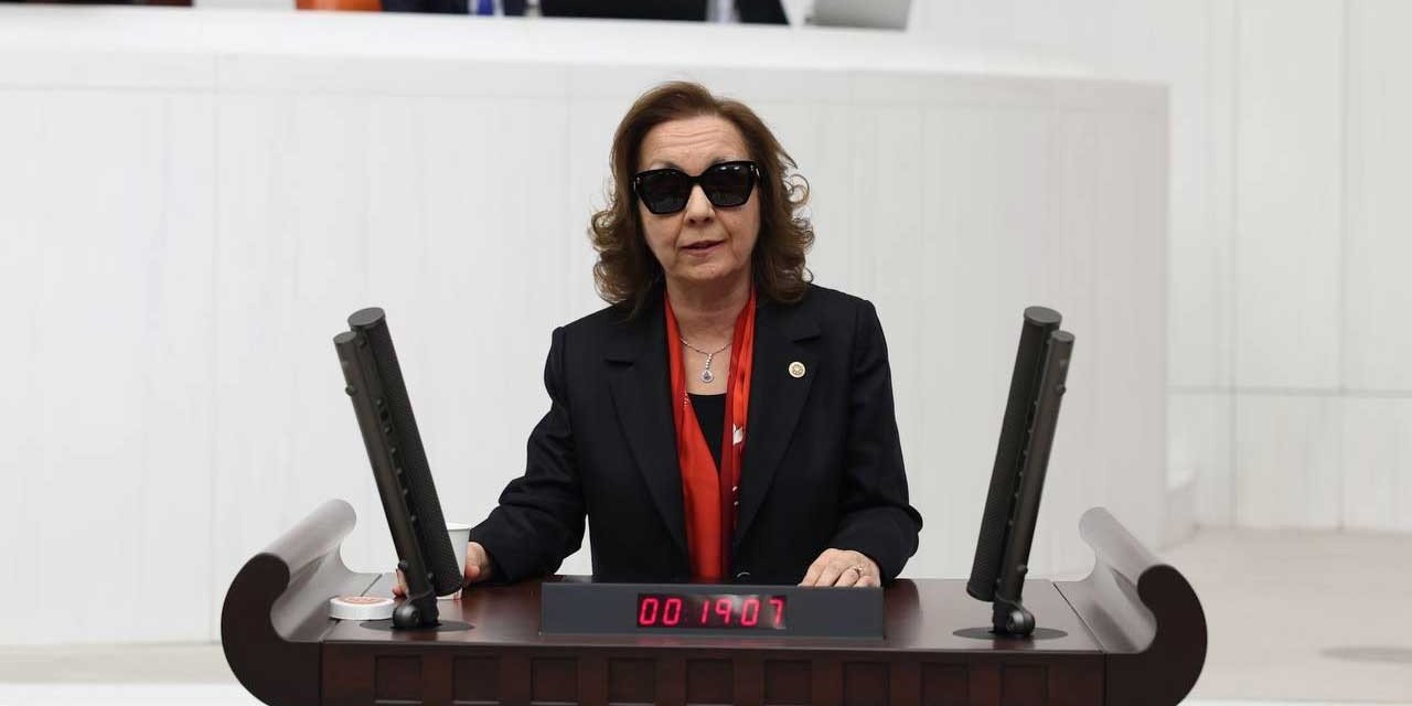 'Parlamenter sisteme dönüş kırmızı çizgim' diyen Özbudun, istifa etti