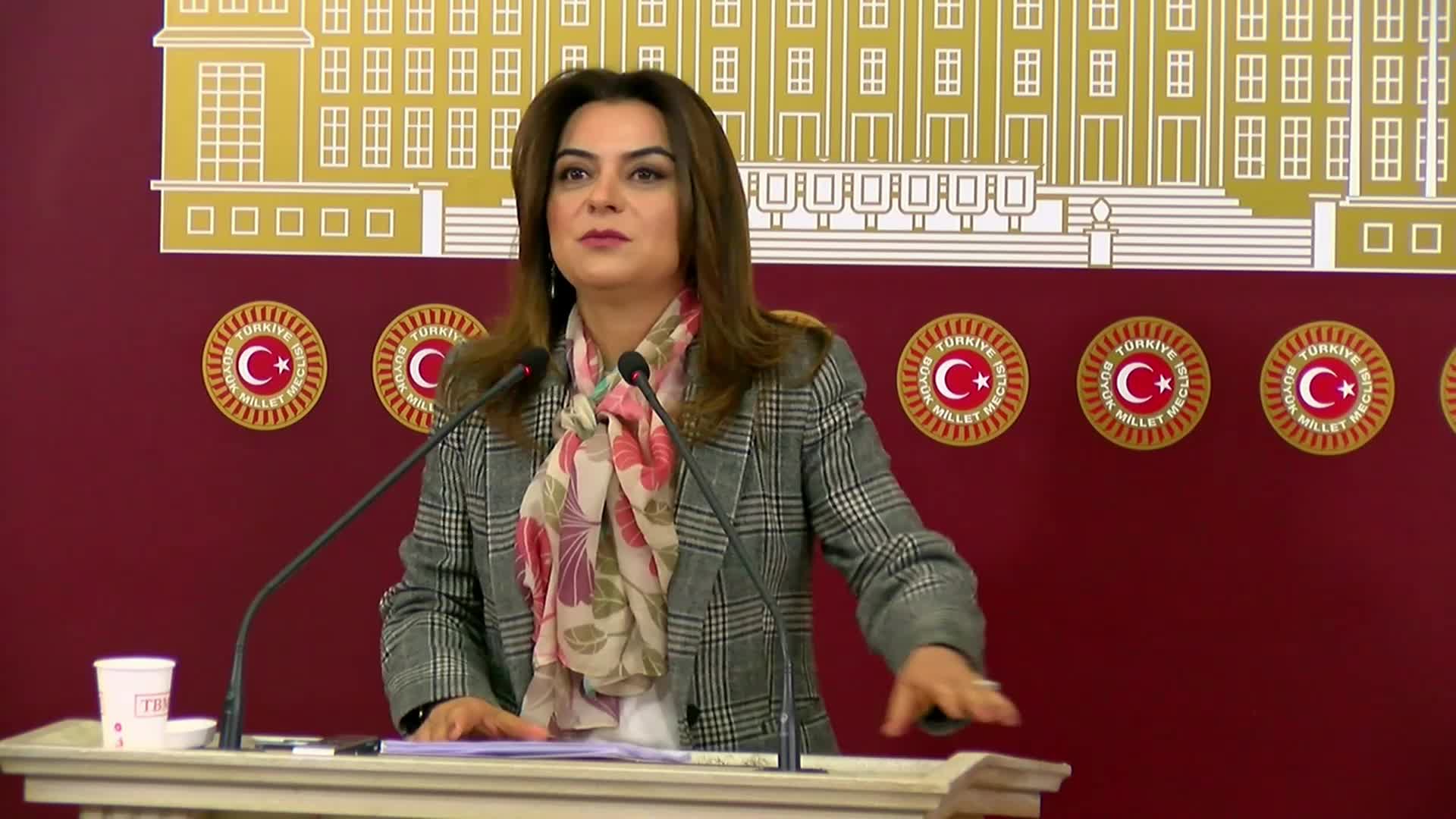 DEM Partili Koçyiğit: Yangınların en büyük sorumlusu önlem almayan AKP'dir