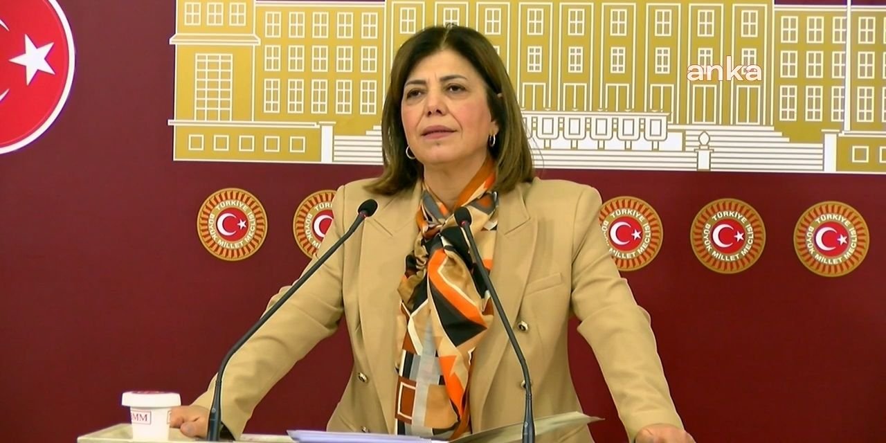 Meral Danış Beştaş: Öcalan'ın çağrısı PKK'ya, YPG ya da SDG'ye değil