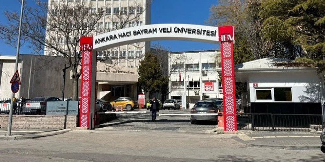 Üniversitede köpek besleme yasaklandı! Öğrenciler karara tepkili