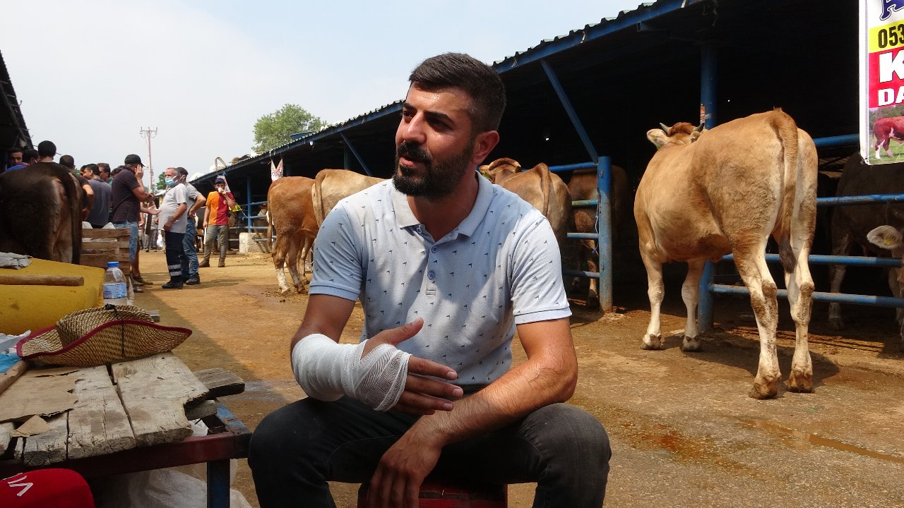 Kurban pazarlığı uzayınca satıcının kolu çatladı