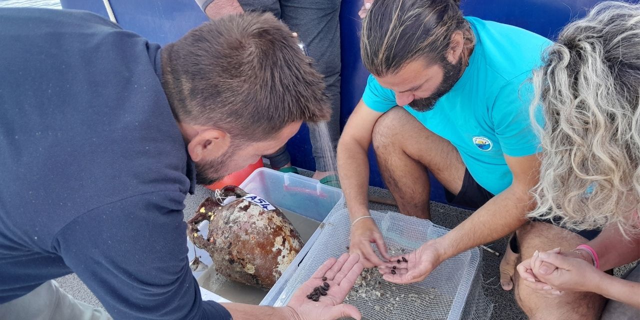 Antalya'daki Gazze batığında, 1100 yıllık zeytin çekirdekleri bulundu