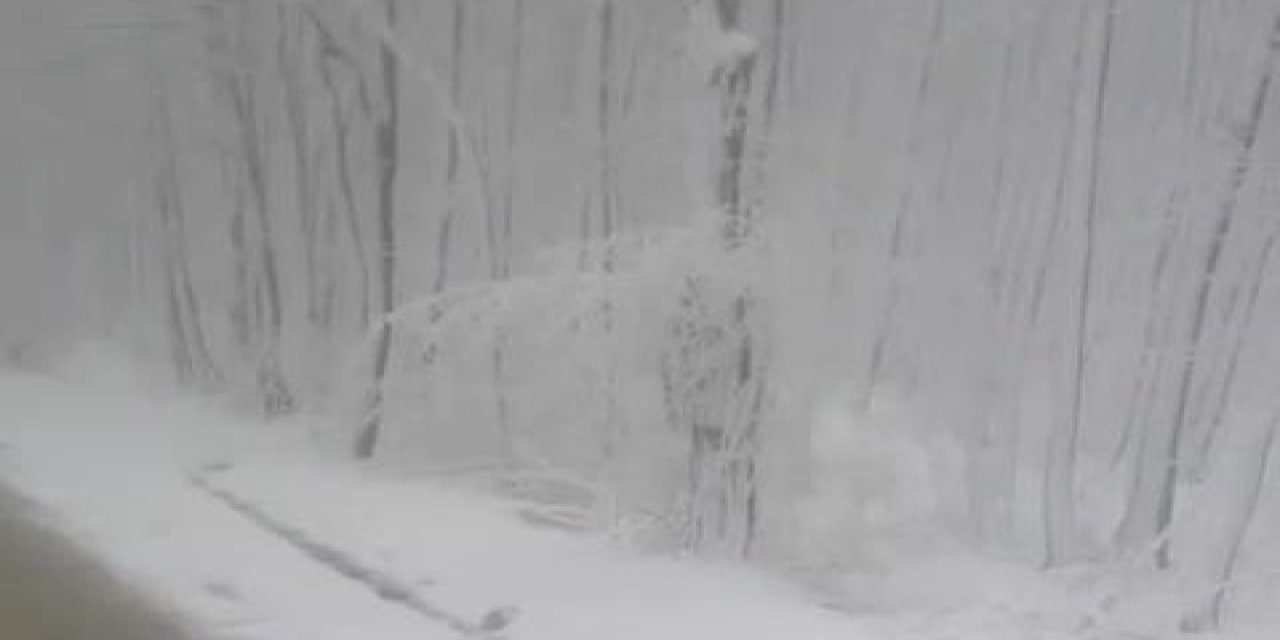 Hava sıcaklıkları aniden düştü: İstanbul'a kar yağdı!