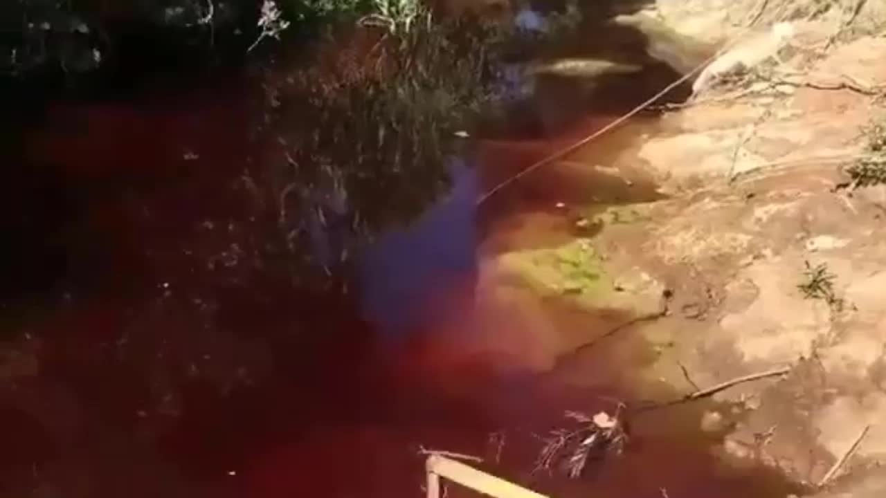 İzmir'de kurban kesimi yüzünden dere kırmızı aktı