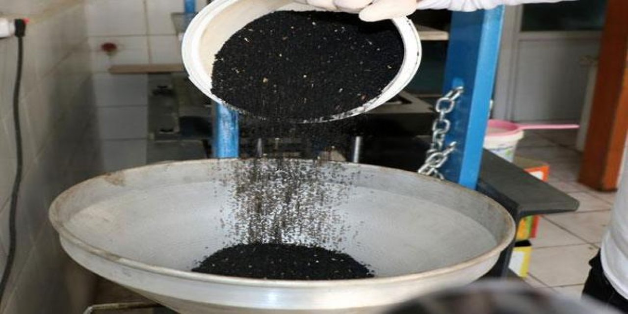 Sabah uyanır uyanmaz 1 avuç çörek otu yemenin etkisi! Meğer o sorunu önlüyormuş