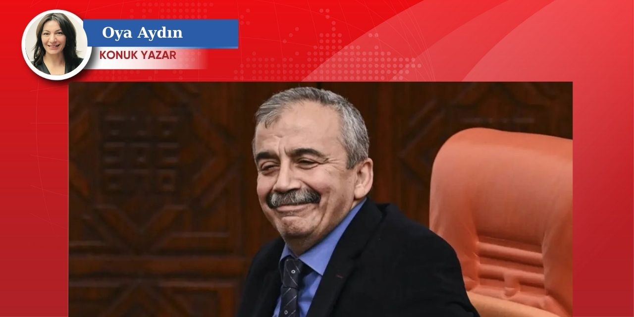 Sırrı Süreyya'nın Hayratı