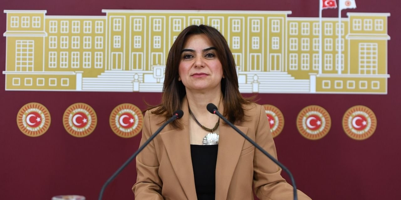 DEM Parti'li Koçyiğit anayasa tartışmalarına yanıt verdi: 'AKP'nin istikbali için mücadele etmedik'