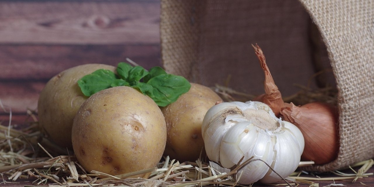 Yeşeren patates, soğan ve sarımsak yenir mi? İşte bilmeniz gerekenler!