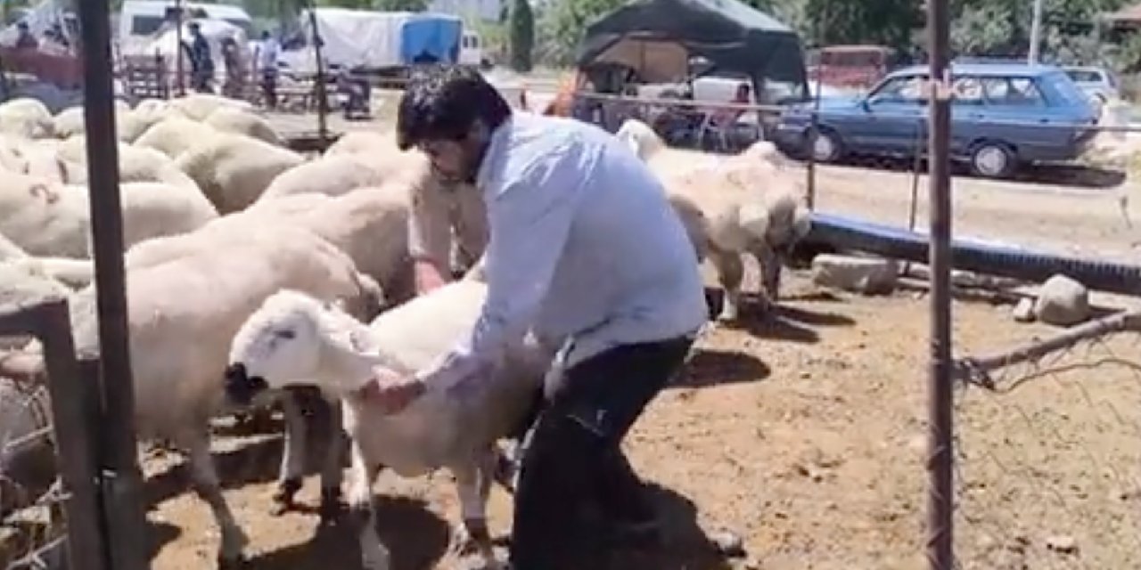 'Emekli maaşı ve ikramiye ancak bir kurbanlık eder, bir ay da taş yeriz herhalde'