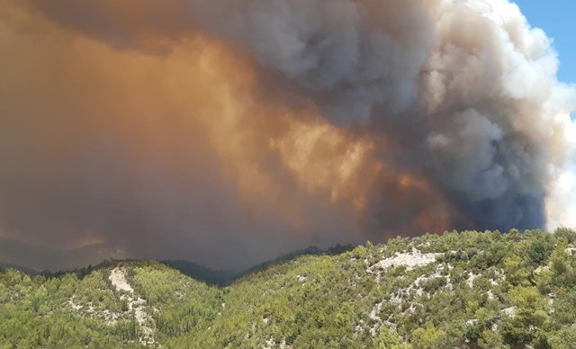 Manavgat'ta 4 ayrı yerde orman yangını