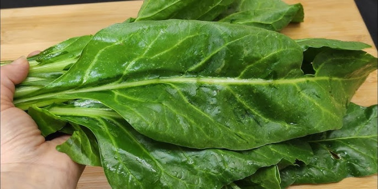 Pazı yemek için 5 harika neden! Faydaları saymakla bitmiyor