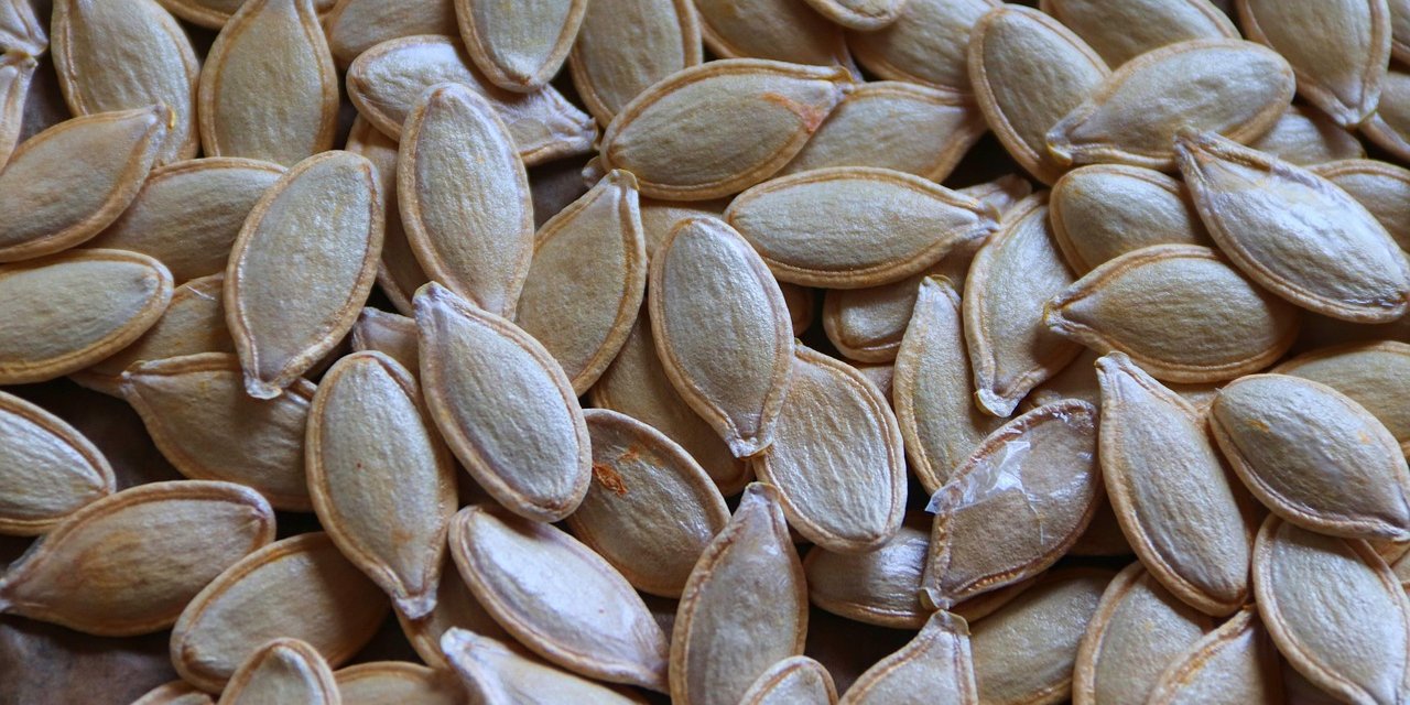 Günde Bir Avuç Kabak Çekirdeği: Bakın Hangi Sorunlara Kalkan Oluyor!