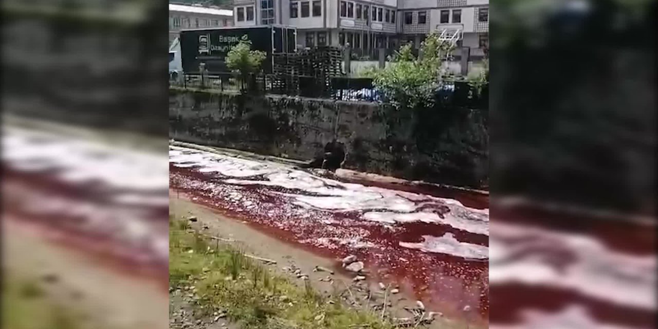 Kurban Bayramı'nda Rize'de dere ve deniz kırmızıya boyandı: Vatandaş tepkili
