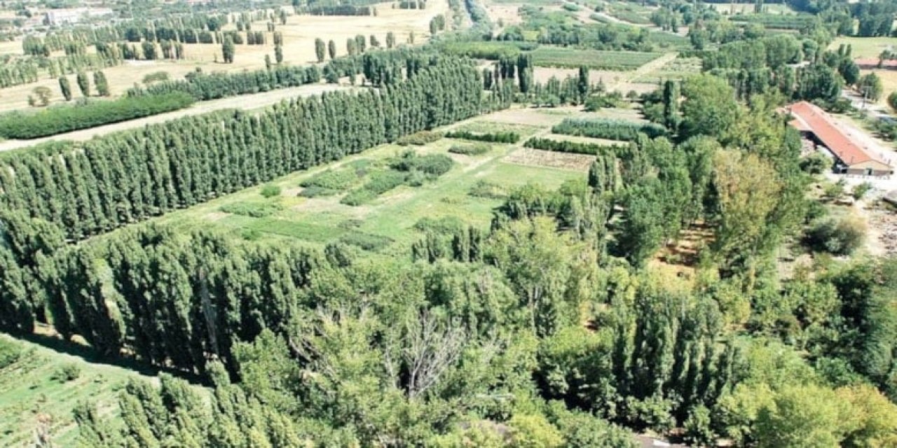 Gökçek döneminde kiralanmıştı: Daire parasına 33 bin metrekare arazi