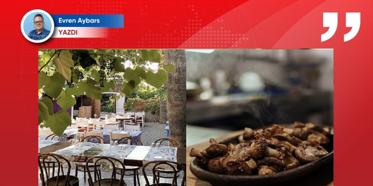Bodrum'da küçük ama sıcak bir mekan: Meyhane Filbahri