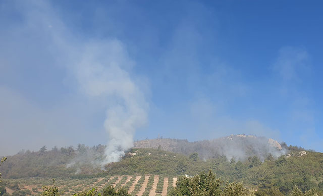 Adana ve Osmaniye’de orman yangınları ikinci gününde